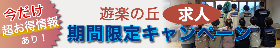求人限定キャンペーン